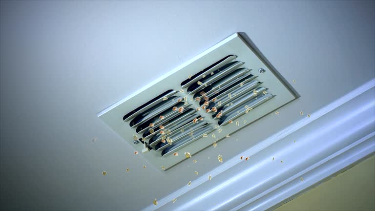 HVAC System Cleaning in Newman, CA