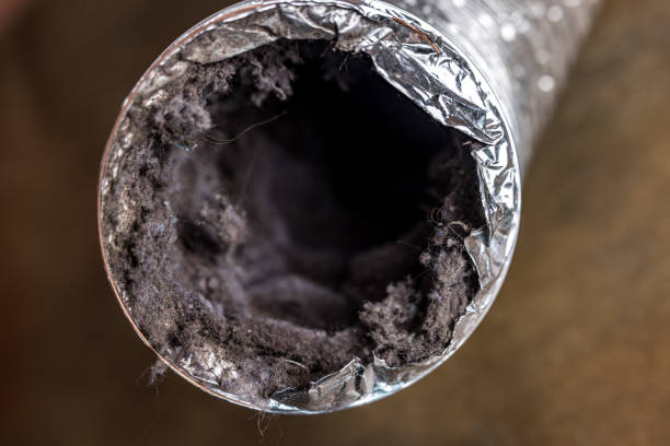 Best Air Duct Cleaning Near Me  in Newman, CA