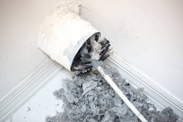 Best Local Air Duct Cleaning Services  in Newman, CA